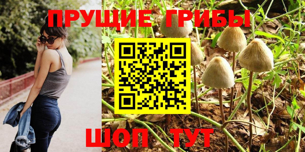 Псилоцибиновые грибы ЛСД  Вход с VPN  Малоярославец  сколько стоит  Галлюциногенные грибы прущие грибы 